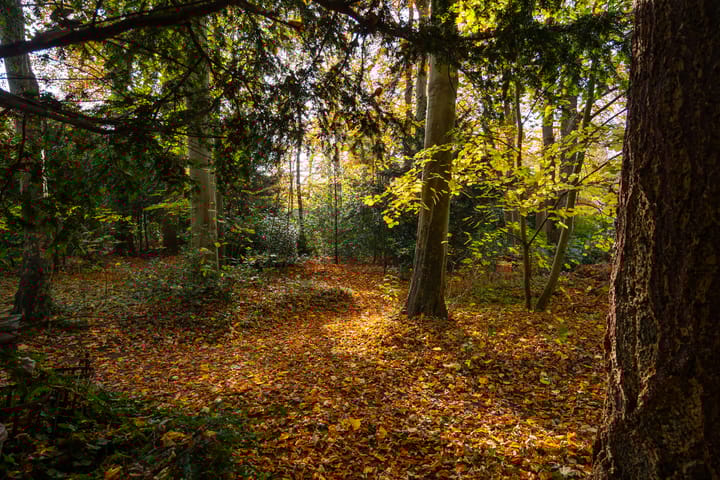 Photo 86 of Middenweg 1