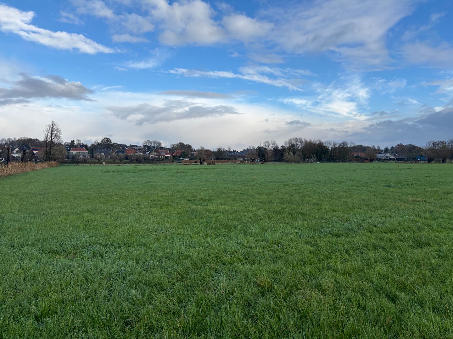 Bekijk foto 1 van Brilseweg