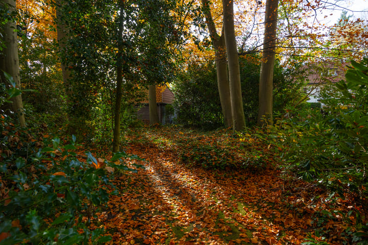 Photo 89 of Middenweg 1