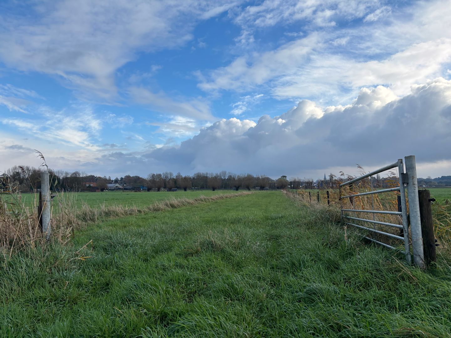 Bekijk foto 3 van Brilseweg