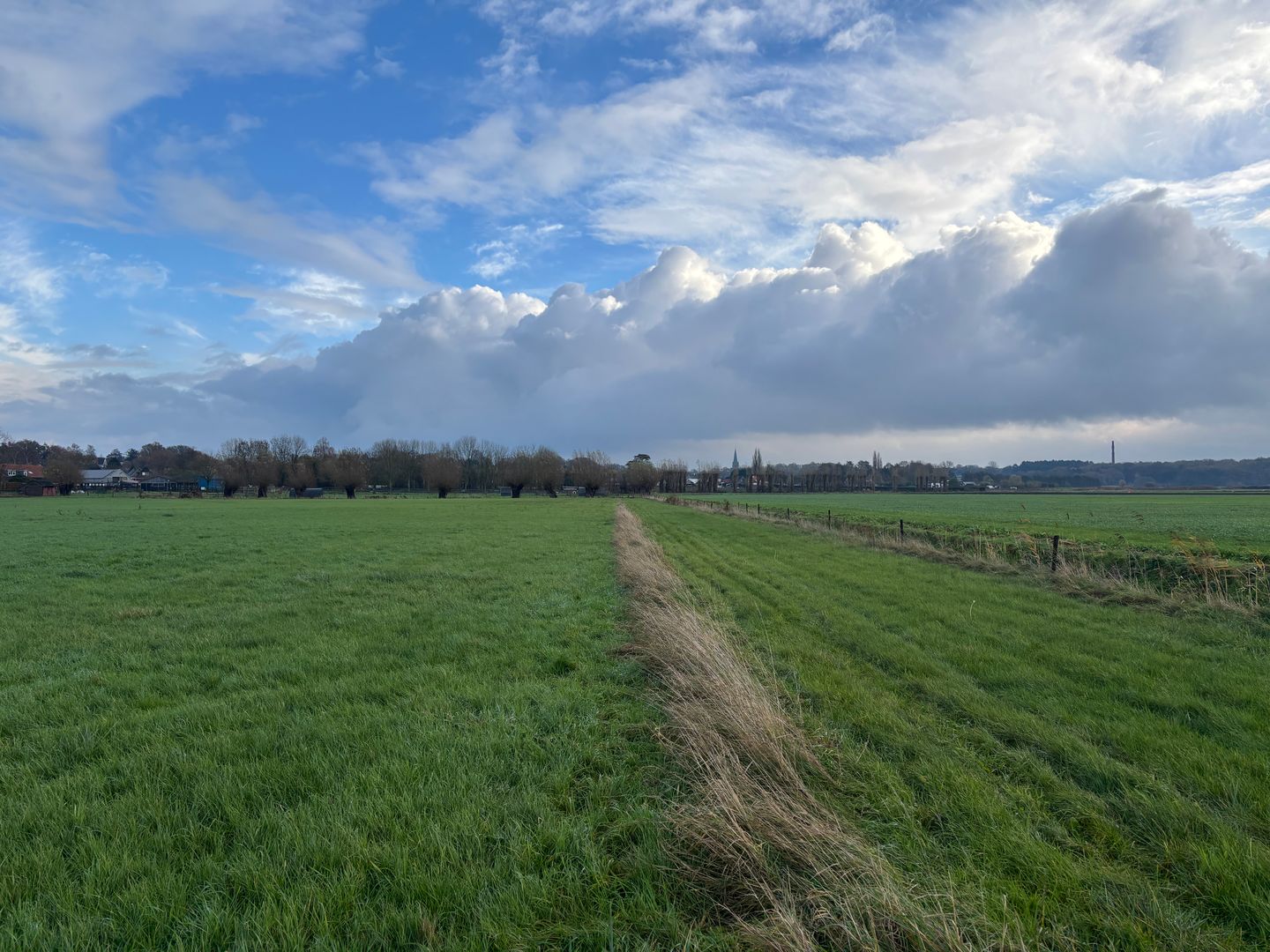 Bekijk foto 4 van Brilseweg