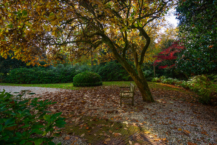 Photo 94 of Middenweg 1