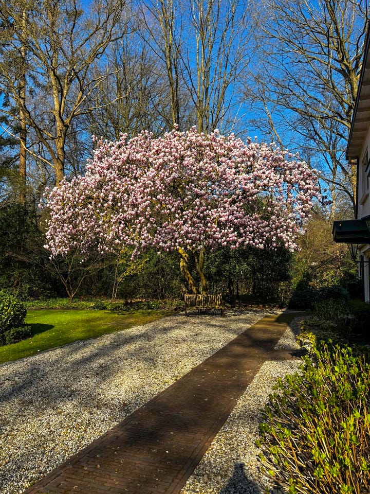 Photo 98 of Middenweg 1