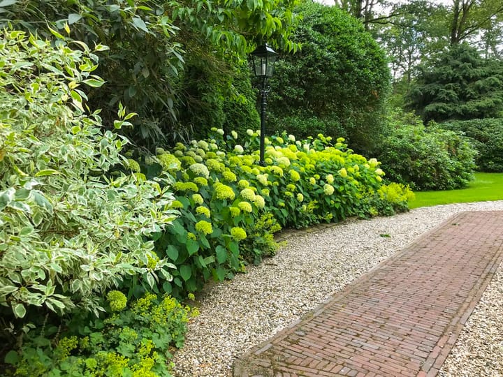 Photo 99 of Middenweg 1