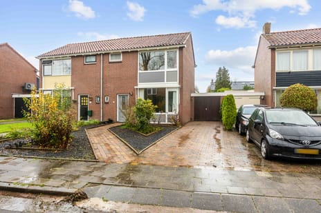 undefined main image