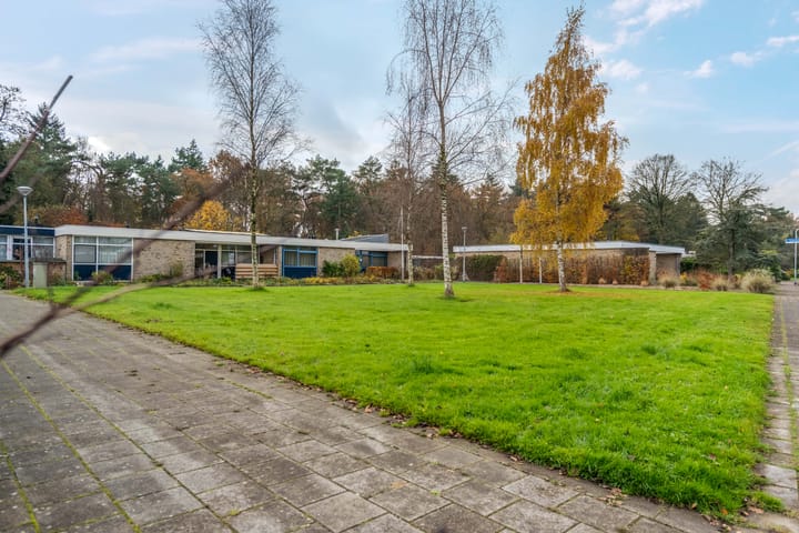 Photo 5 of Albert Schweitzerplantsoen 11