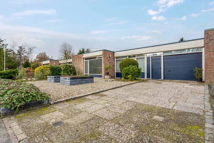 Photo 6 of Albert Schweitzerplantsoen 11