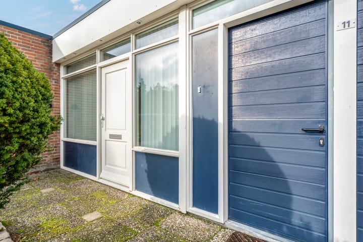 Photo 8 of Albert Schweitzerplantsoen 11