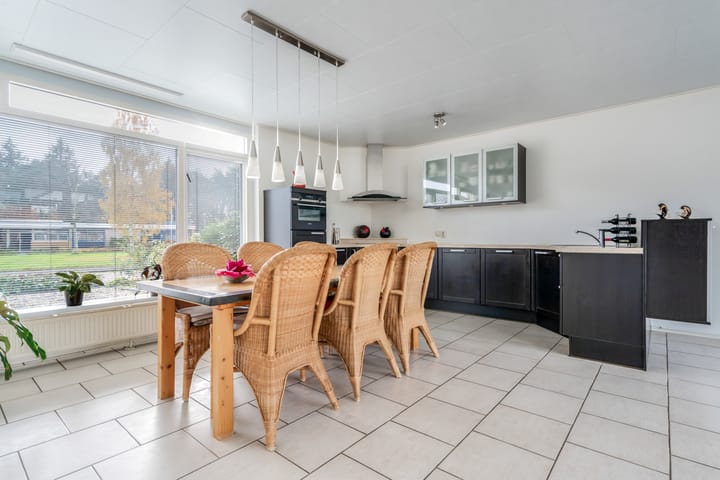 Photo 17 of Albert Schweitzerplantsoen 11