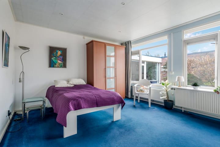 Photo 30 of Albert Schweitzerplantsoen 11