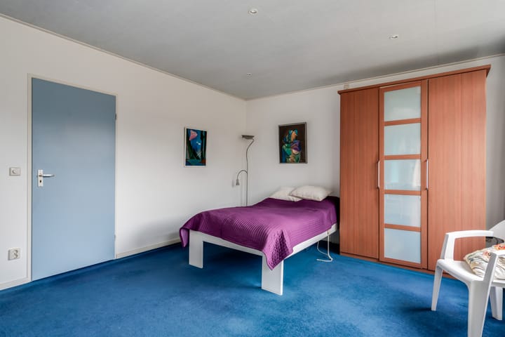 Photo 31 of Albert Schweitzerplantsoen 11