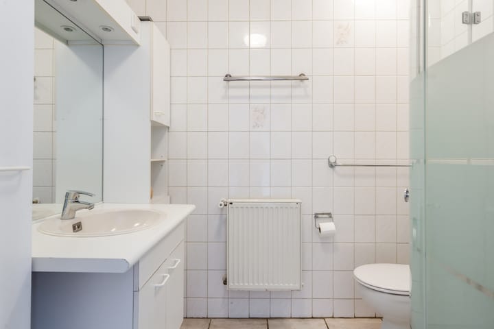 Photo 35 of Albert Schweitzerplantsoen 11