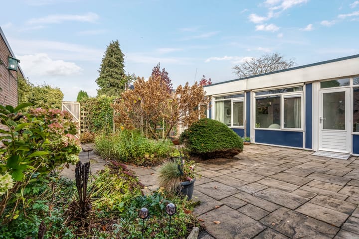 Photo 39 of Albert Schweitzerplantsoen 11