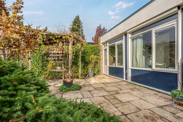 Photo 41 of Albert Schweitzerplantsoen 11