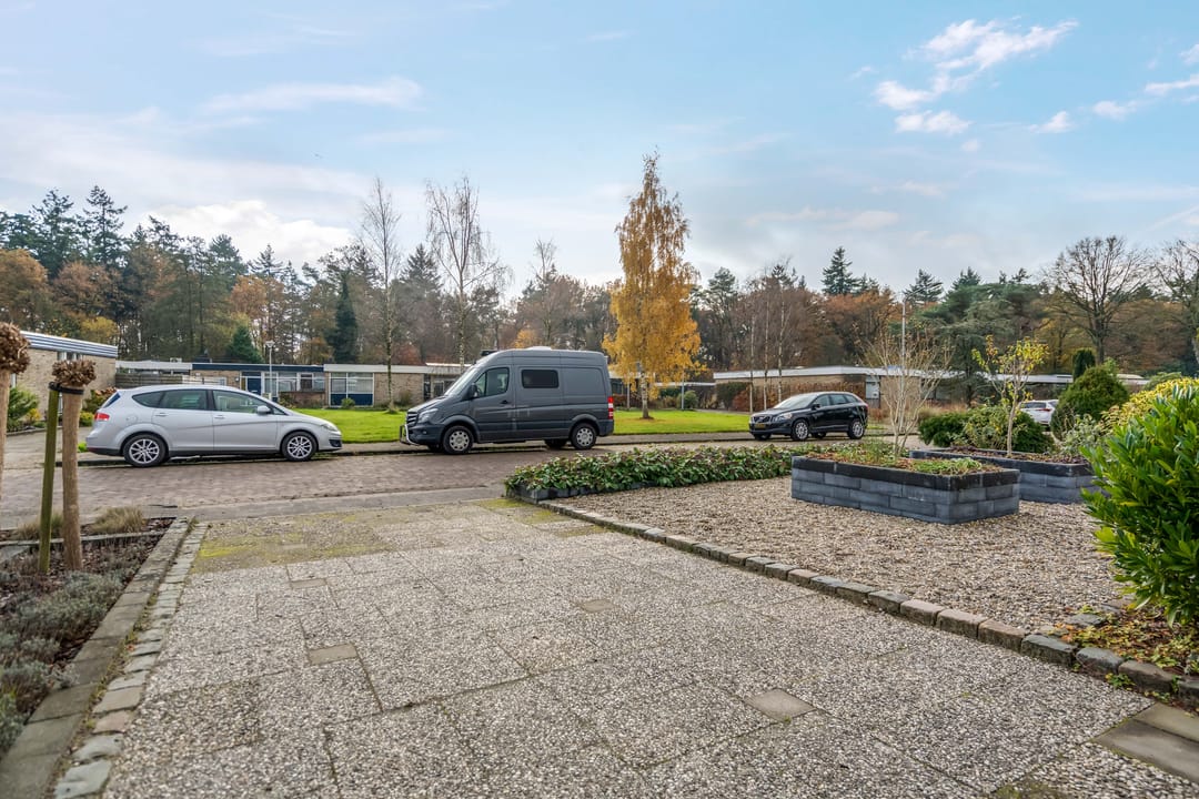 Foto 43 van Albert Schweitzerplantsoen 11
