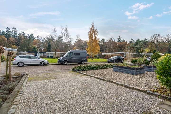 Photo 43 of Albert Schweitzerplantsoen 11