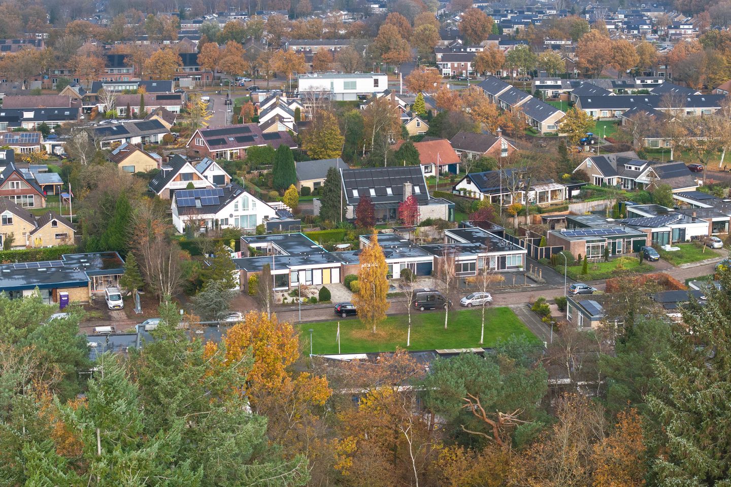 Foto 44 van Albert Schweitzerplantsoen 11
