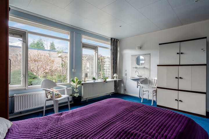 Photo 32 of Albert Schweitzerplantsoen 11