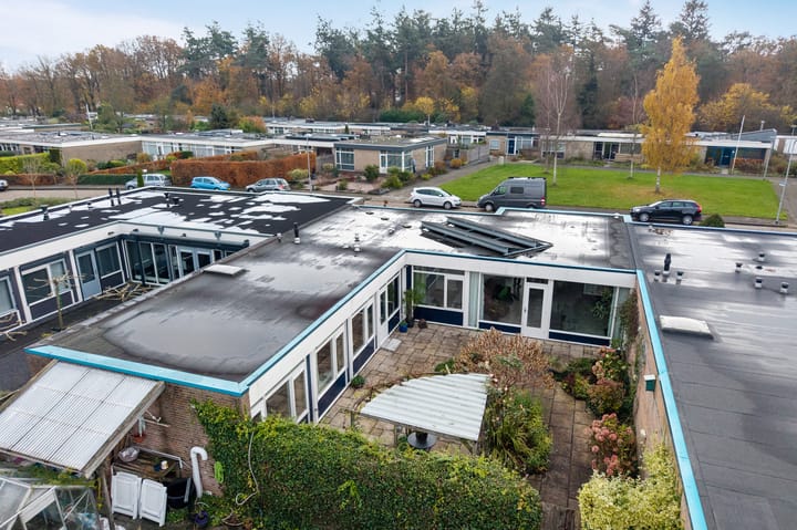 Photo 48 of Albert Schweitzerplantsoen 11