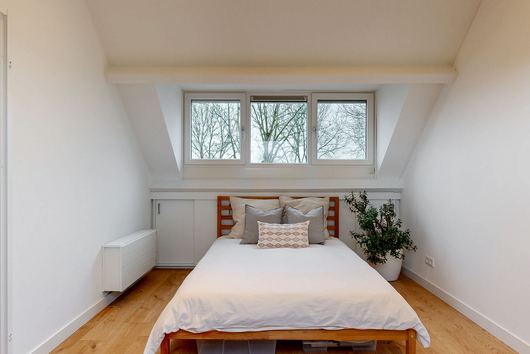 Foto 24 van Zuivelstraat 28