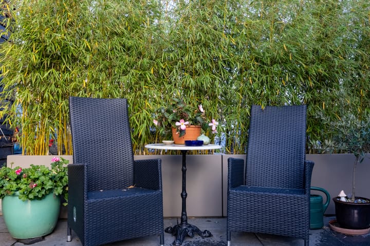 Photo 38 of Floris V Dreef 21