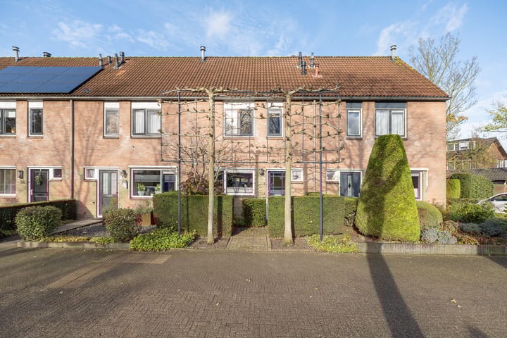 Photo 47 of Jan Seppenplein 52