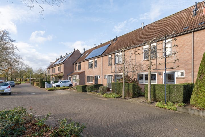 Photo 48 of Jan Seppenplein 52