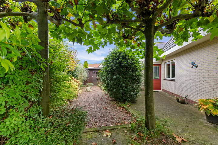 Photo 29 of Oer it Spoar 1