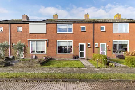 undefined main image