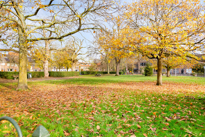 Photo 28 of Willem van Noortstraat 182-A