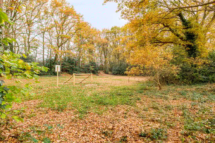 Photo 39 of Hogekant 14