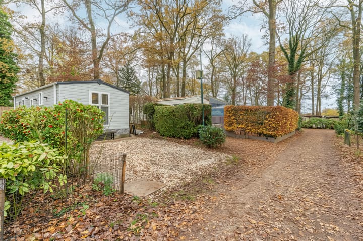 Foto 6 van De Jutberg 78-181