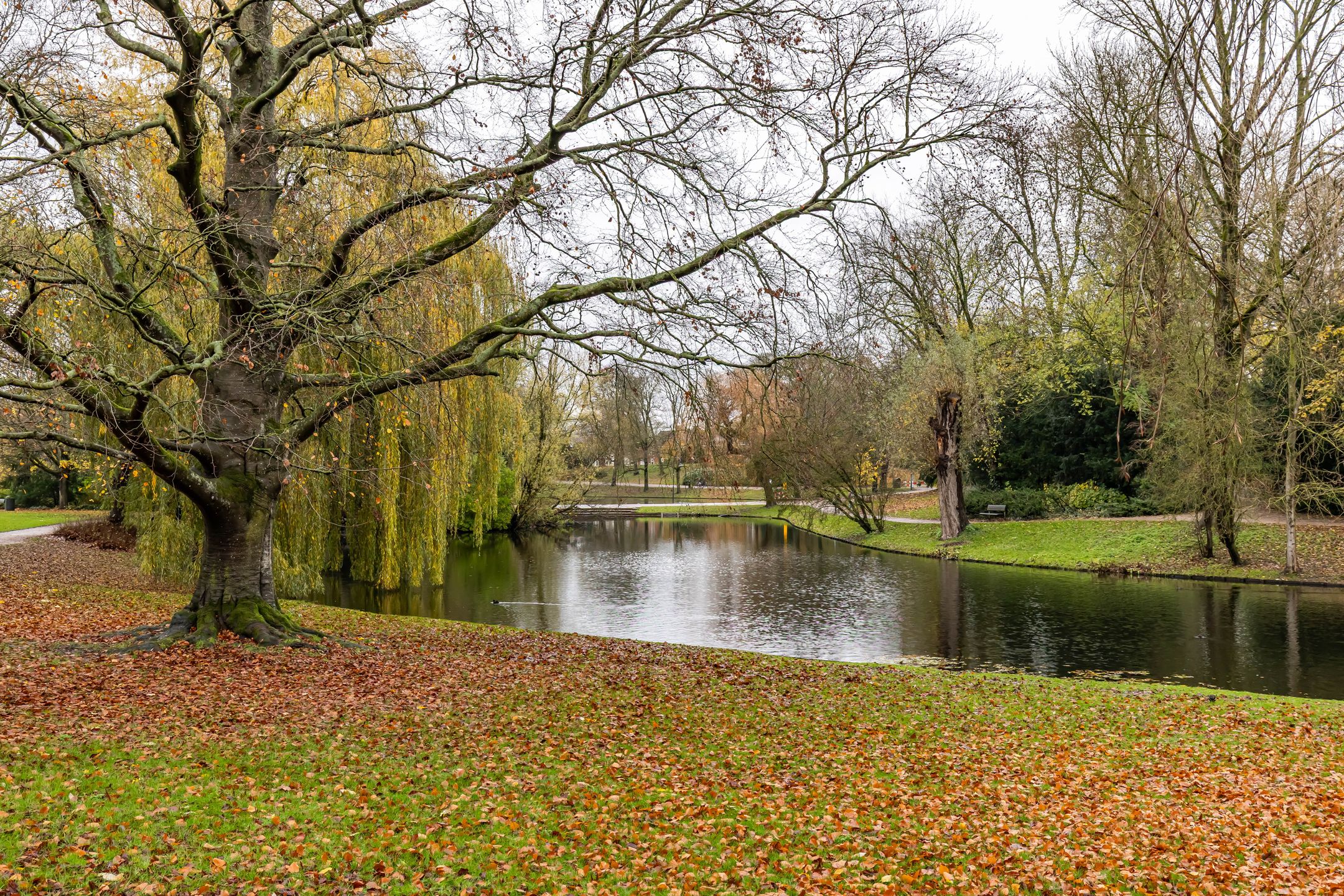 Foto 33 van Nieuwe Boteringestraat 25-C