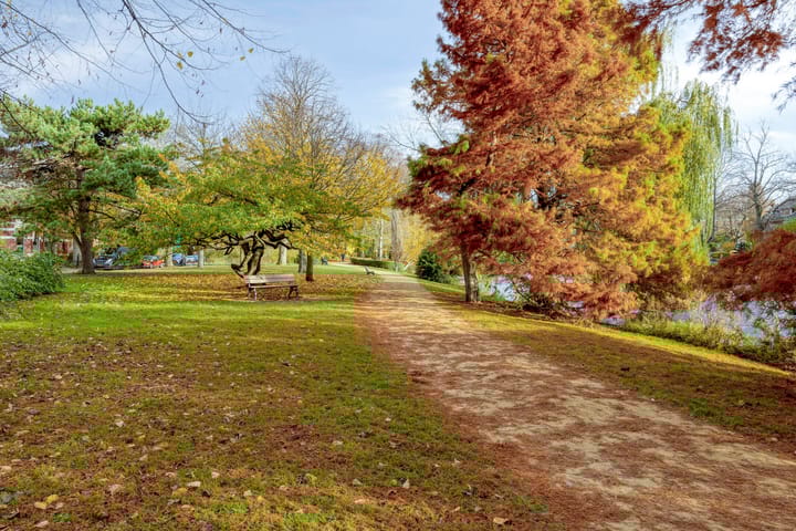 Foto 32 van Rijnstraat 26