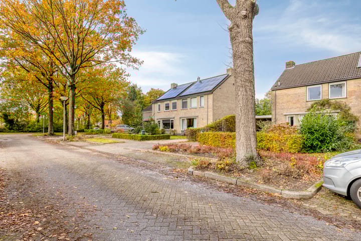 Photo 8 of Sassenbergen 5