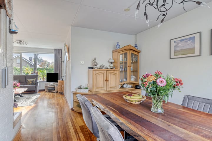 Photo 20 of Sassenbergen 5