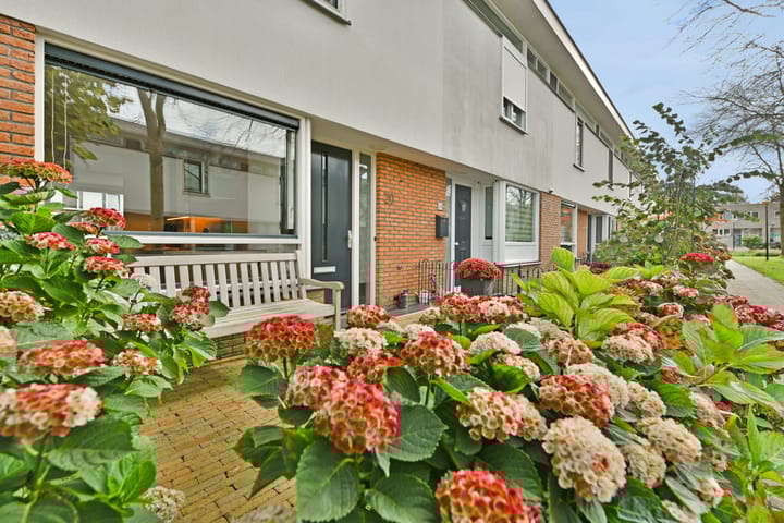 Photo 2 of Moerasslak 20