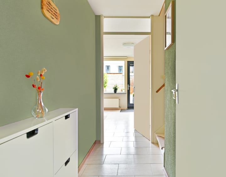 Foto 14 van Moerasslak 20