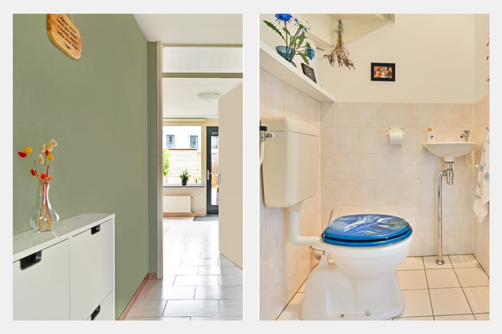 Foto 15 van Moerasslak 20