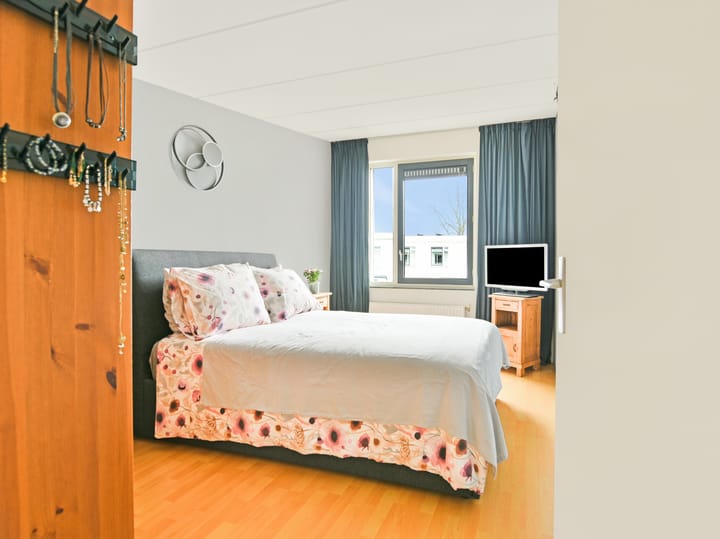 Foto 17 van Moerasslak 20