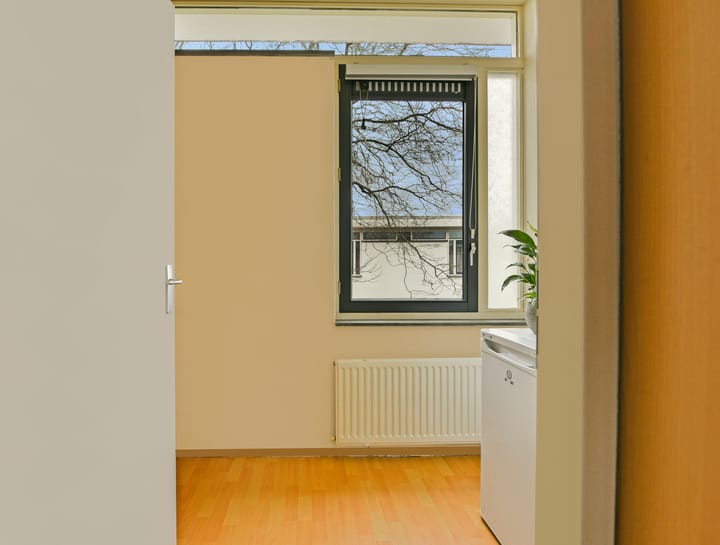 Foto 20 van Moerasslak 20