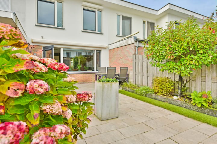 Foto 26 van Moerasslak 20