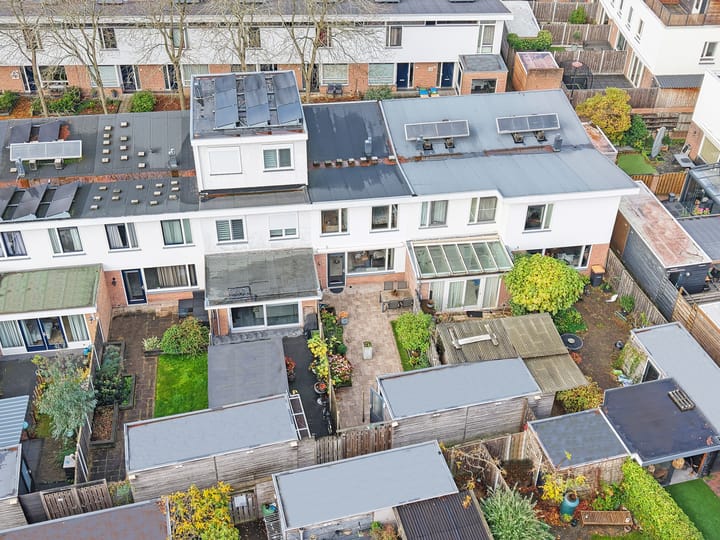 Foto 29 van Moerasslak 20