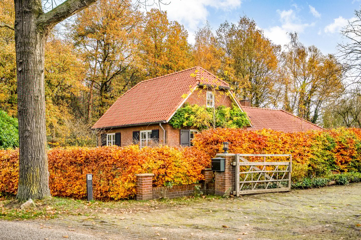 Foto 1 van Wolinkweg 39