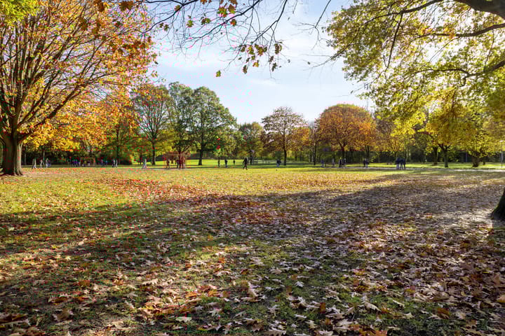 Foto 40 van Brouwershei 8