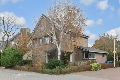 undefined main image