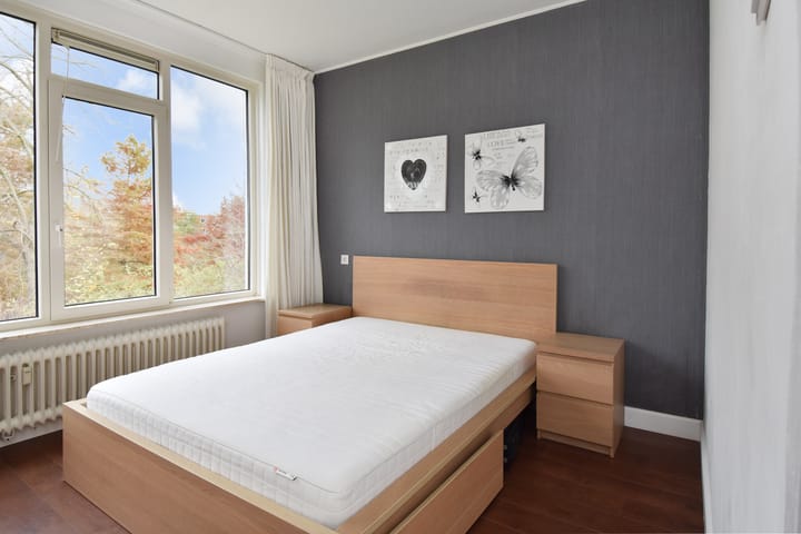 Foto 21 van Cornelie van Zantenstraat 220