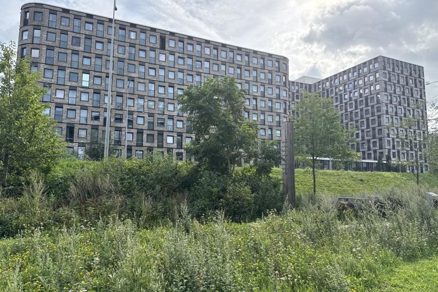 Foto 19 van Elizabeth Cady Stantonplein 459