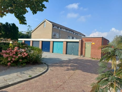 undefined main image