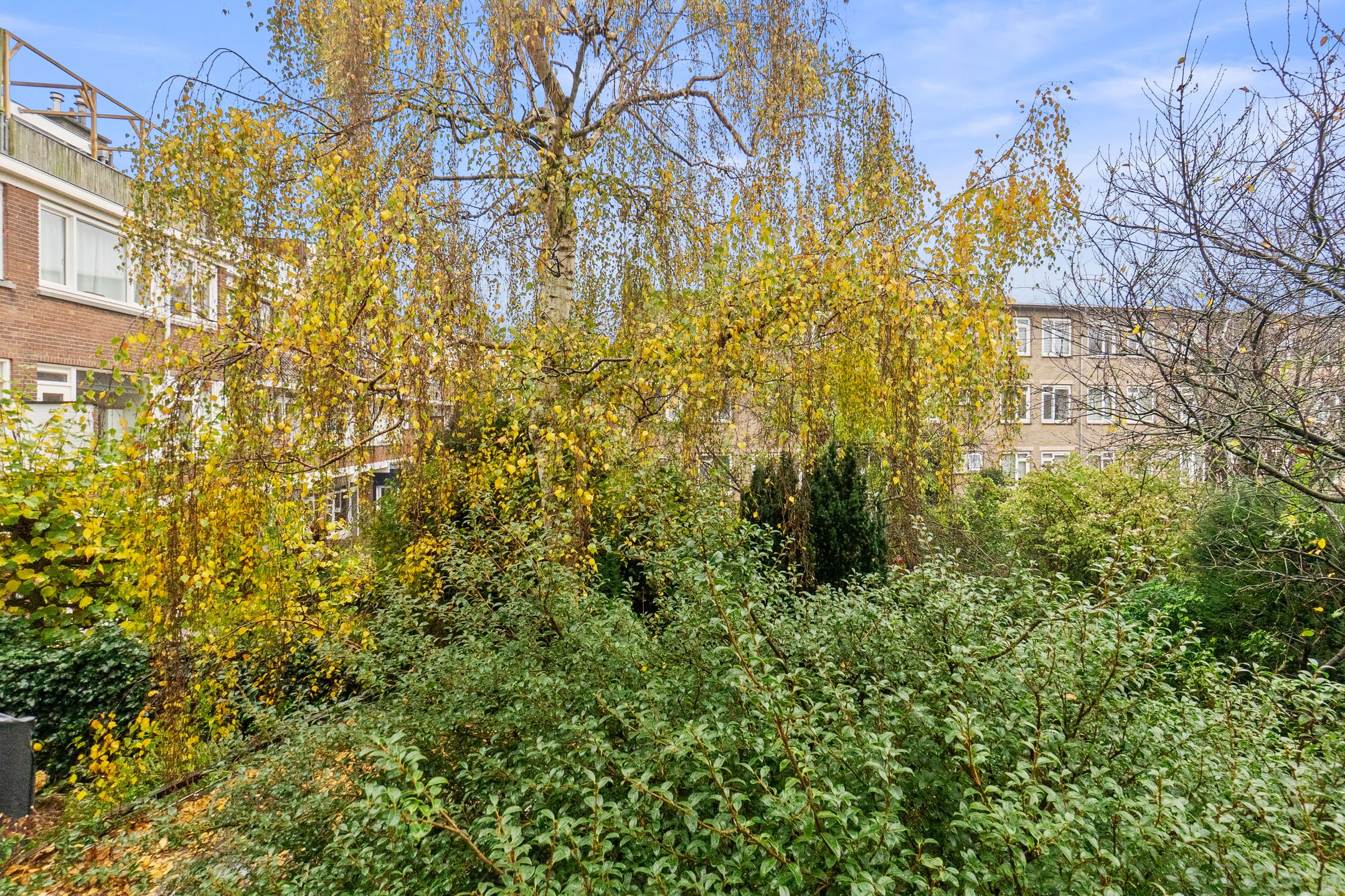 Foto 27 van Lijsterbeslaan 84